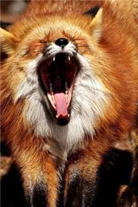 Big Yawn, Small Red Fox Journal