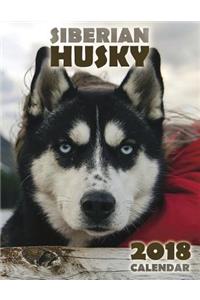 The Siberian Husky 2018 Calendar (UK Edition)