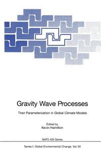 Gravity Wave Processes