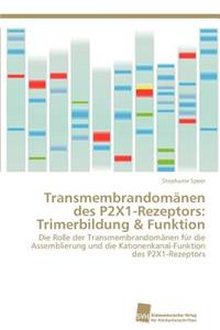Transmembrandomänen des P2X1-Rezeptors