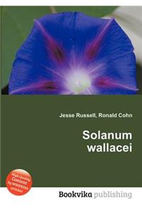 Solanum Wallacei