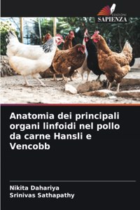 Anatomia dei principali organi linfoidi nel pollo da carne Hansli e Vencobb
