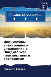 Инициативы электронного управления в Ча