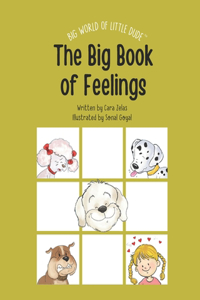 The Big Book of Feelings