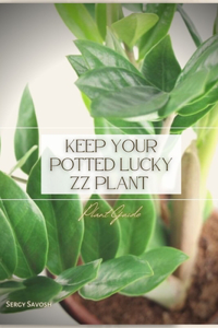 Keep Your Potted Lucky ZZ Plant