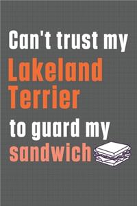 Can't trust my Lakeland Terrier to guard my sandwich