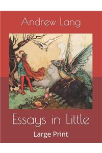 Essays in Little