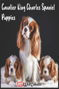 Cavalier King Charles Spaniel Puppies 2021 Wall Calendar