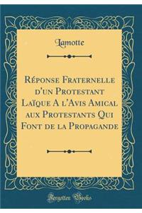 RÃ©ponse Fraternelle d'Un Protestant LaÃ¯que a l'Avis Amical Aux Protestants Qui Font de la Propagande (Classic Reprint)