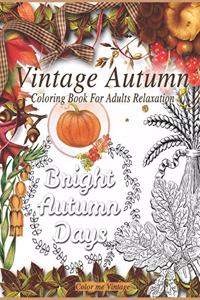 Vintage Autumn coloring book for adults relaxation