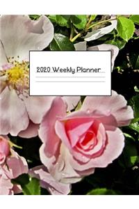 2020 Weekly Planner