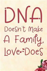 DNA Doesn't Make a Family Love Does