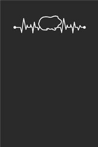 Guinea Pig Heartbeat