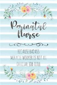 Perinatal Nurse