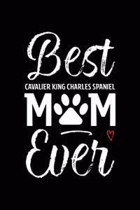 Best Cavalier King Charles Spaniel Mom Ever