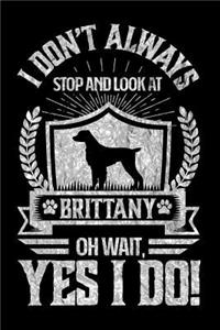 I Don't Always Stop and Look At Brittany OH Wait, Yes I Do!
