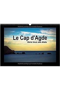Cap D'agde Dans Tous Ses Etats 2017