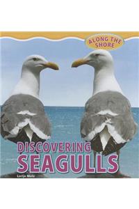 Discovering Seagulls