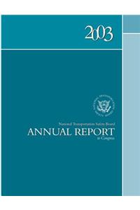 2003 National Transportation Safety Board Annal Report to Congress