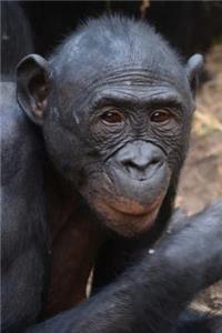 Bonobo Monkey Portrait Journal