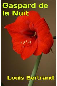 Gaspard de la Nuit