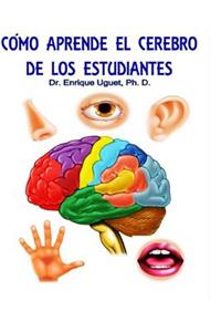 Como aprende el cerebro de los estudiantes