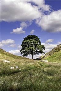 Sycamore Gap in Northumberland England Journal