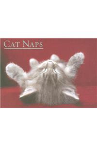 Cat Naps