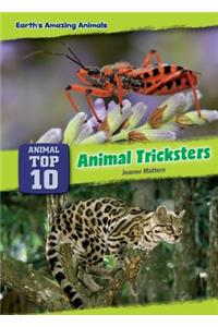 Animal Tricksters