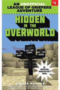 Hidden in the Overworld