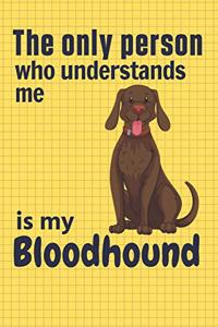 only person who understands me is my Bloodhound
