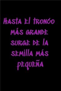 Hasta el tronco más grande surge de la semilla más pequeña