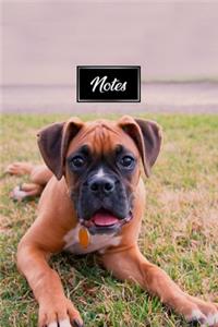 Boxer Dog Pup Puppy Doggie Notebook Bullet Journal Diary Composition Book Notepad - Baby On Meadow