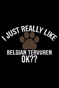 I Just Really Like Belgian Tervuren Ok?