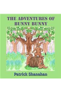 The Adventures of Bunny Bunny