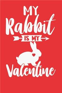 My Rabbit is my Valentine
