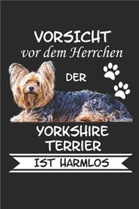 Vorsicht vor dem Herrchen der Yorkshire Terrier ist Harmlos