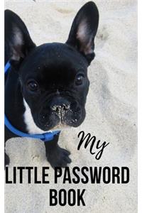 My Little Password Book