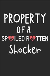 Property Of A Spoiled Rotten Shocker