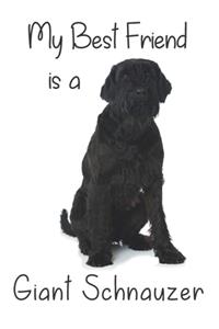 My best Friend is a Giant Schnauzer