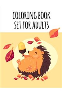 coloring book set for adults