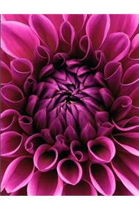 Dahlia Composition Book