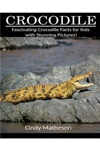 Crocodile: Fascinating Crocodile Facts for Kids with Stunning Pictures!