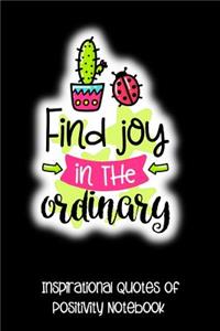 Find Joy in the Ordinary