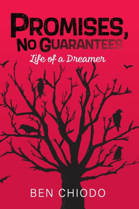 Promises, No Guarantees