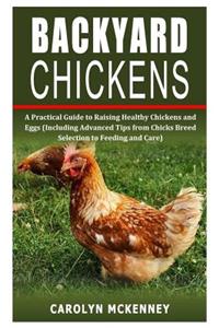 Backyard Chickens