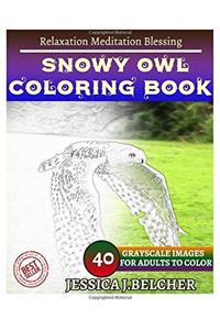 Snowy Owl Coloring Book for Adults: Relaxation - Meditation - Blessing; Sketches Coloring Book 40 Grayscale Images