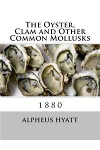Oyster, Clam and Other Common Mollusks