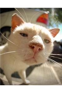 Up In Your Face Cat Sketchbook with 400 Blank Pages