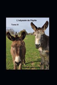 L'Odyssée de Pépite Tome IV